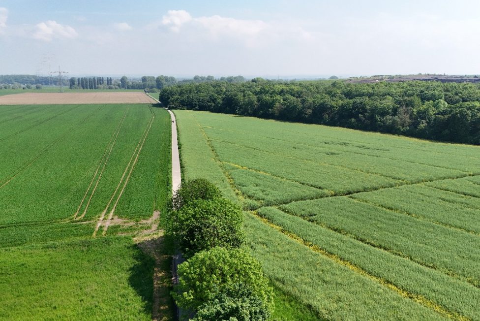 an den Rheinauen in Dormagen