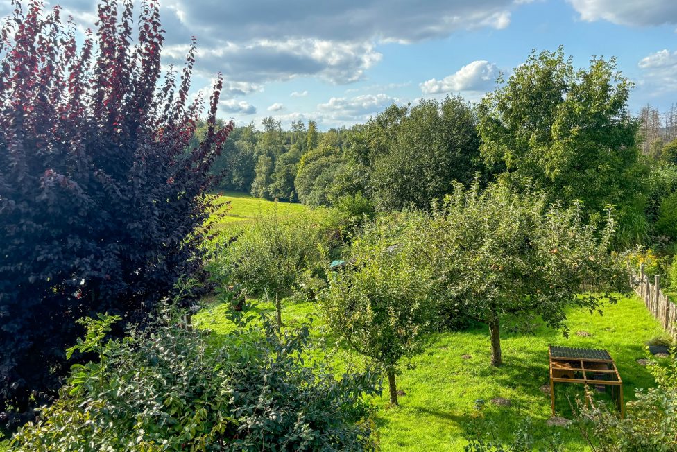 Blick auf den eigenen Garten