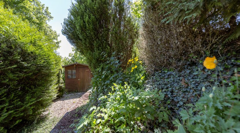 kleiner Einblick in den Garten