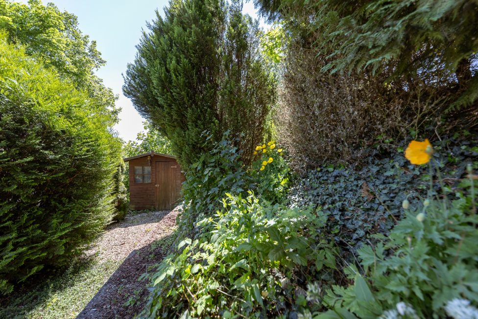 kleiner Einblick in den Garten