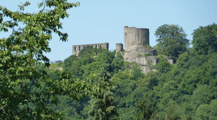 Umgebung: Burg Windeck (22)