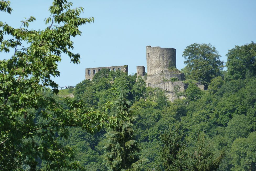 Umgebung: Burg Windeck (22)