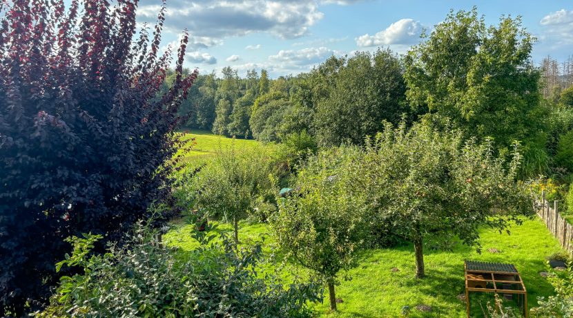 Blick auf den eigenen Garten