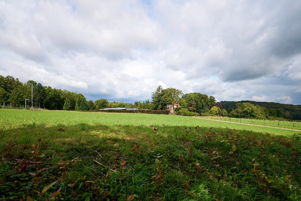 1,5 ha großes Grundstück