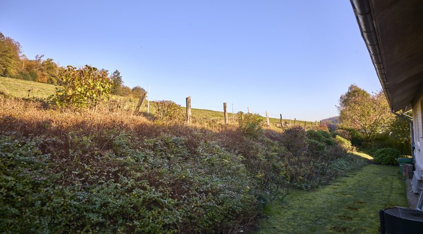 Grundstück hinter dem Haus