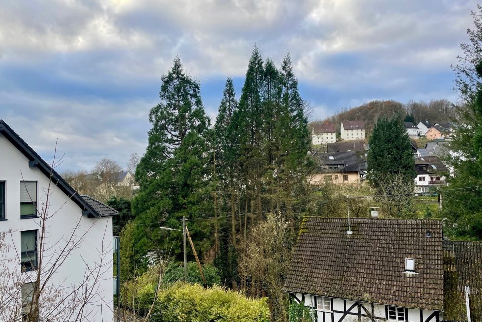 Ausblick vom Balkon